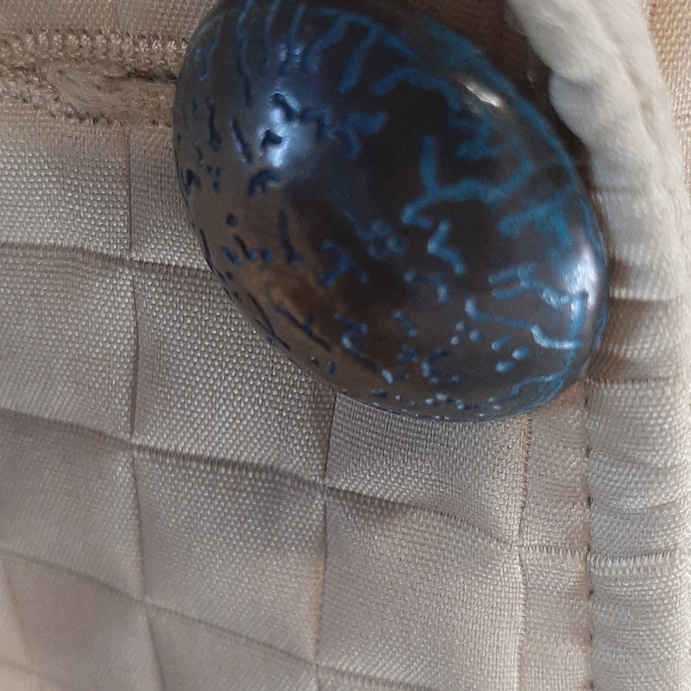 Jacket - Picture 6 of 6